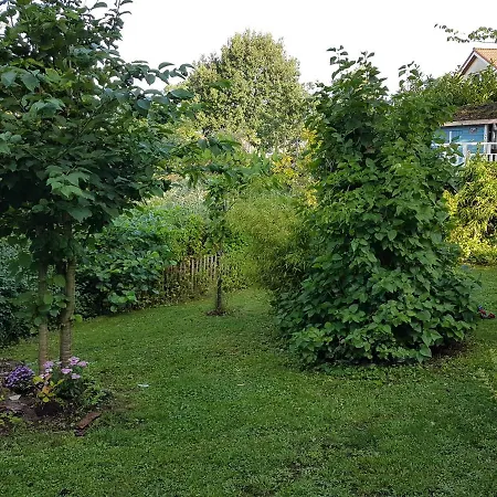 Cottage Marxdorf Exterior foto