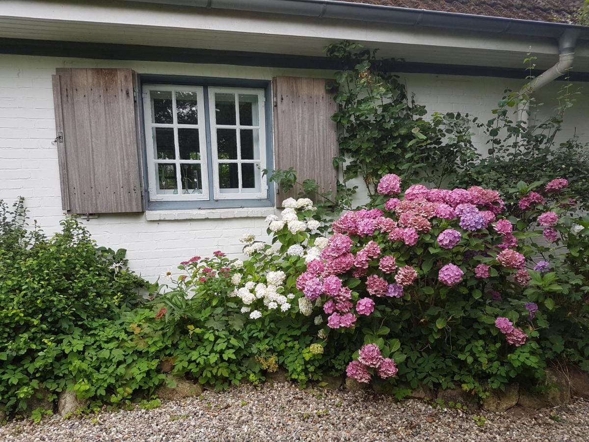 Cottage Marxdorf Ferienhaus