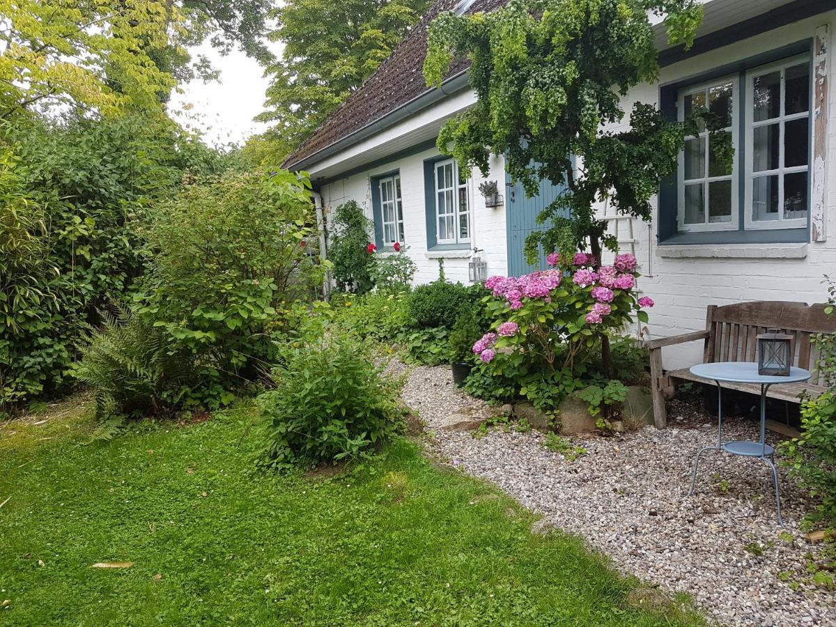 Cottage Marxdorf * Marxdorf
