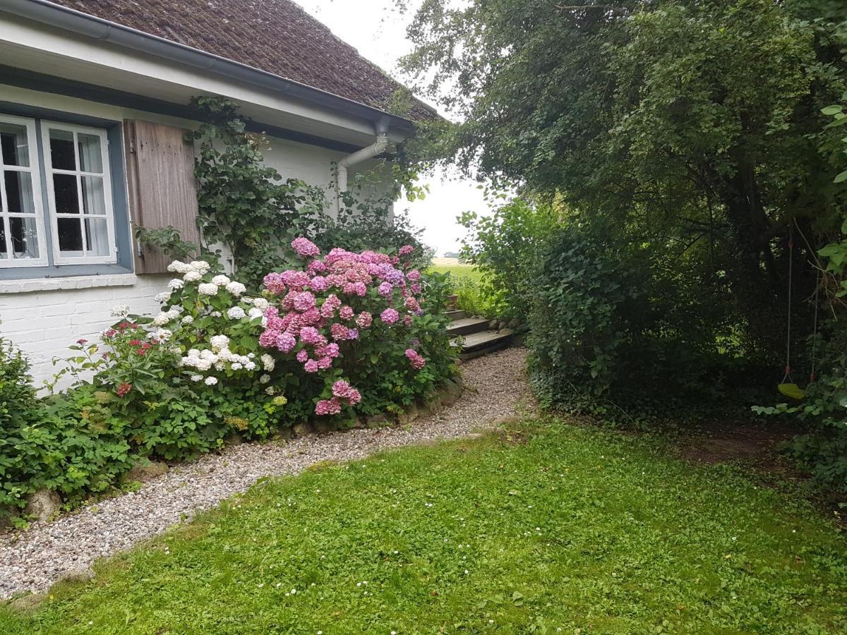 Ferienhaus Cottage Marxdorf *