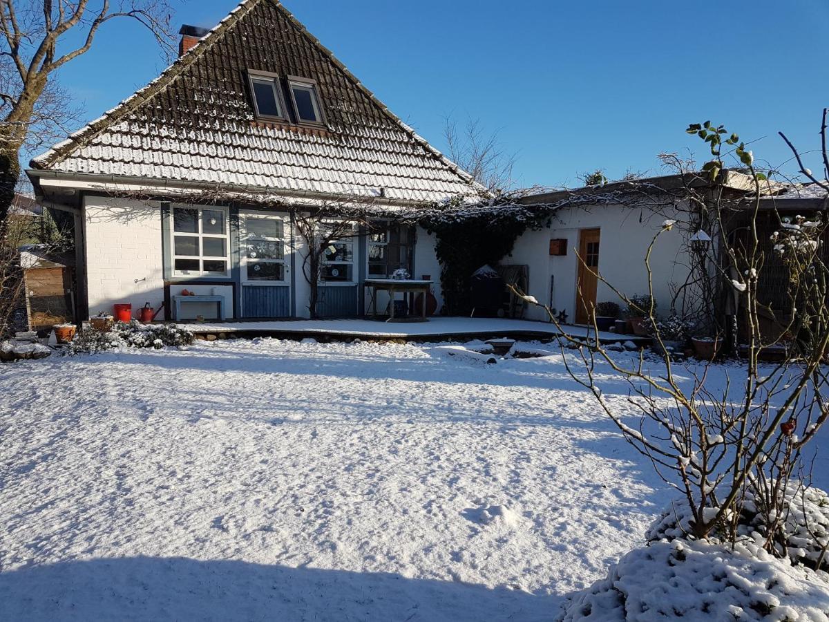 Cottage Marxdorf Ferienhaus Marxdorf