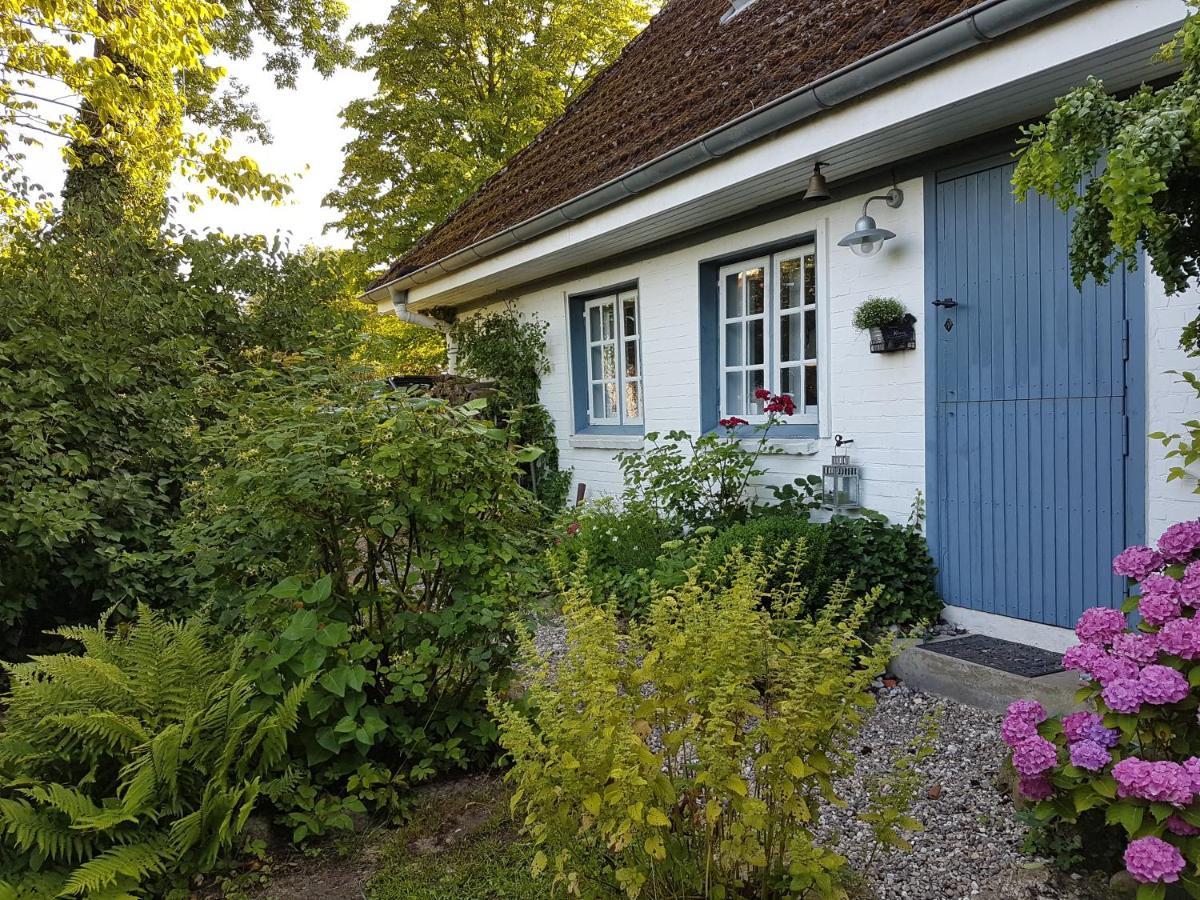 Cottage Marxdorf * Marxdorf