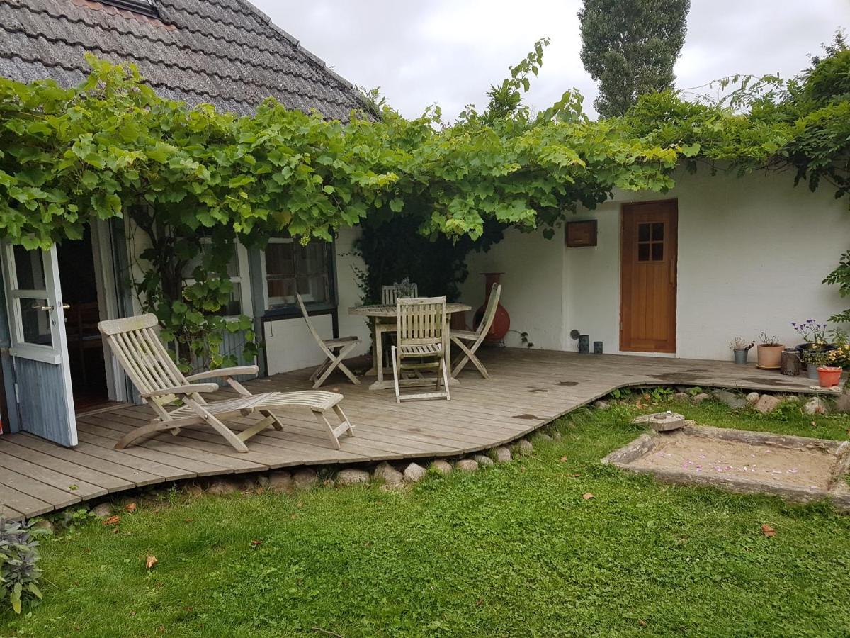 Cottage Marxdorf Ferienhaus Marxdorf